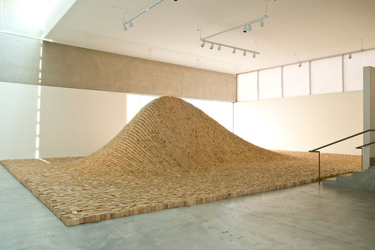 Maya Lin: Systematic Landscapes Postcard