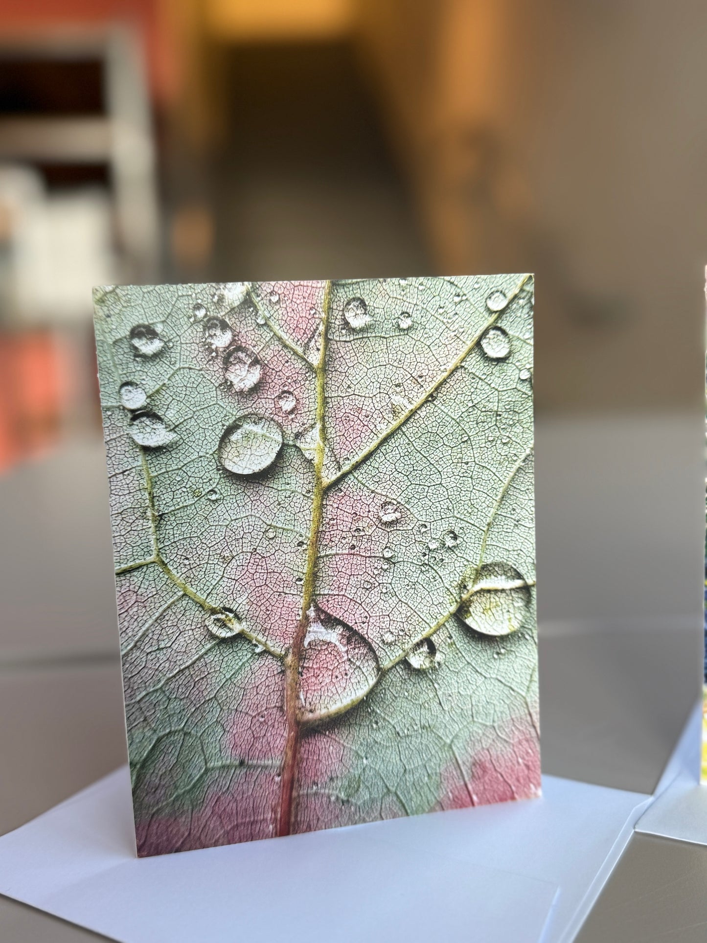 Giessow Pottery: Blank Cards