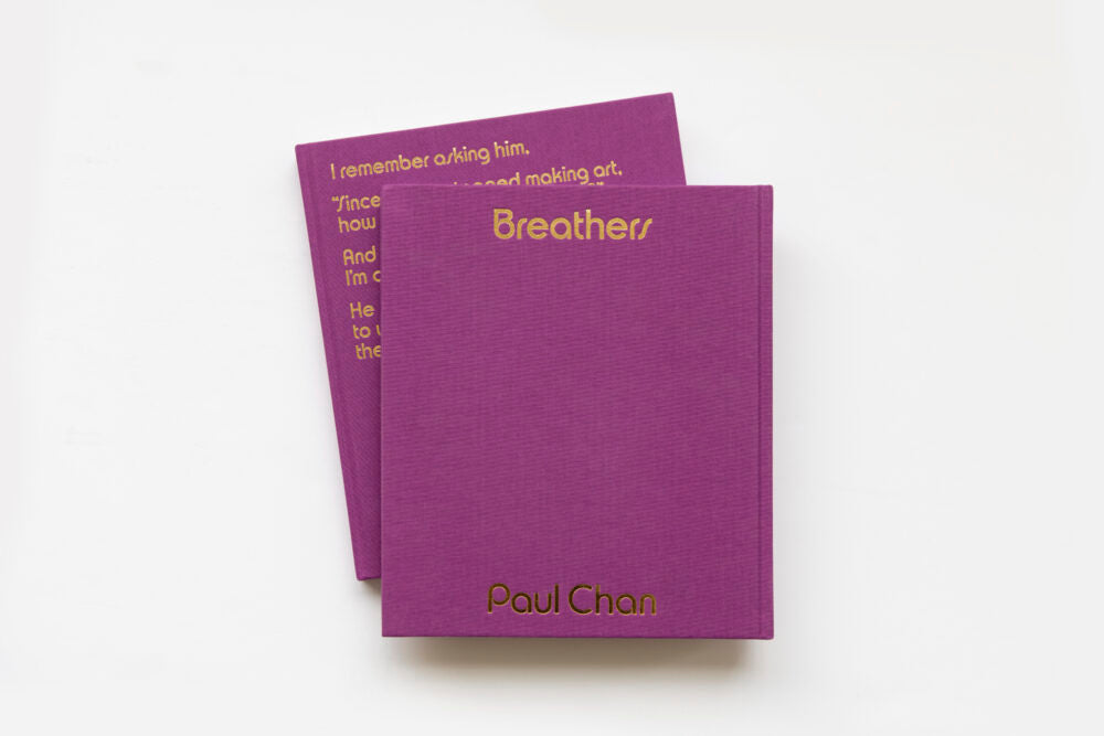 Paul Chan: Breathers