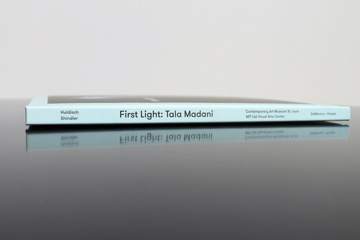 Tala Madani: First Light Catalog