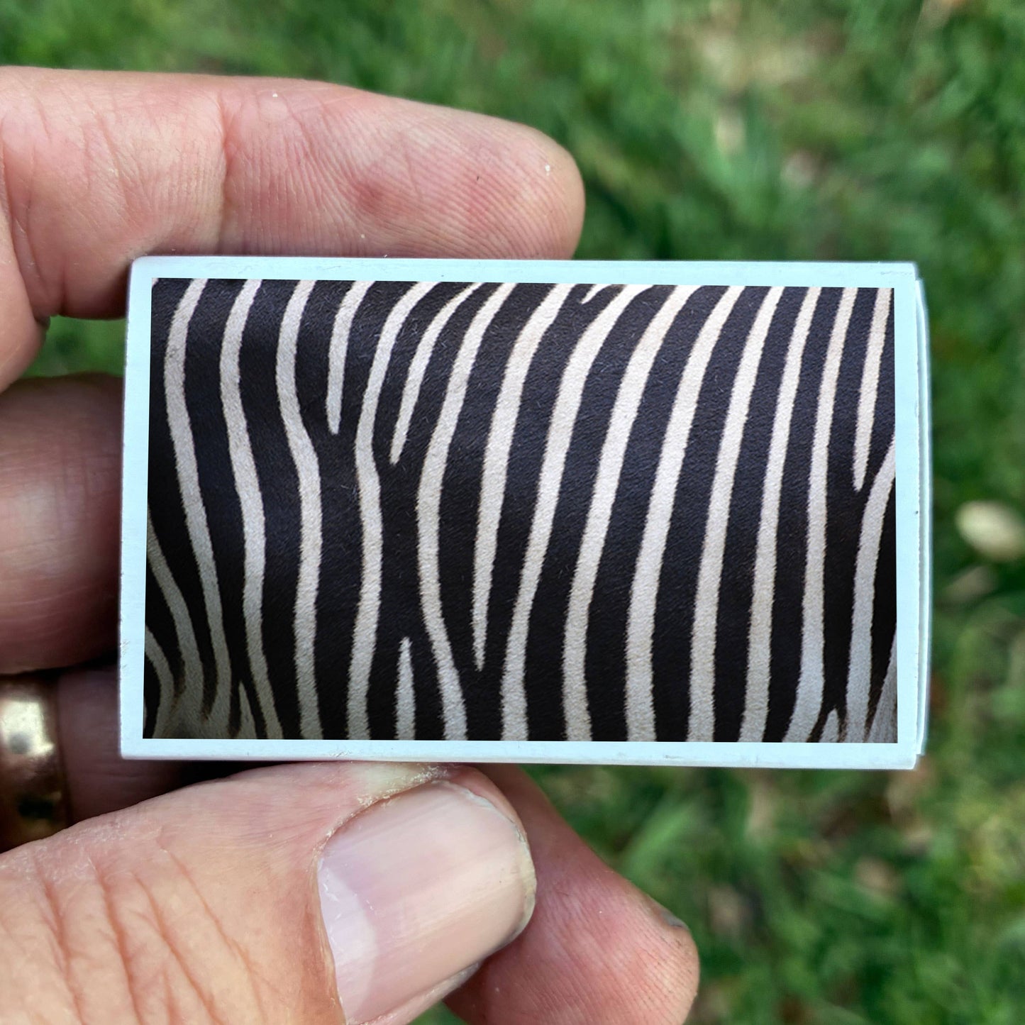 Matches • Zebra Skin Matchboxes • Home Decor for Candles