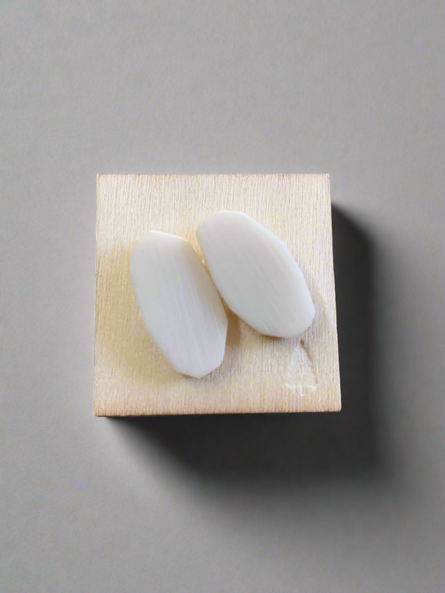 Robert Thomas Mullen: Corian Earrings