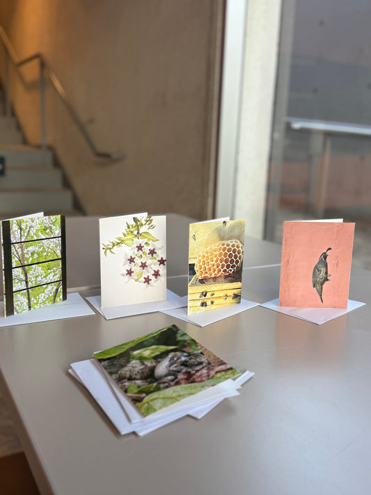 Giessow Pottery: Blank Cards