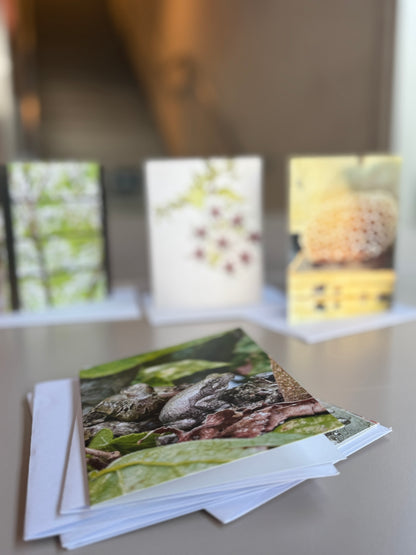 Giessow Pottery: Blank Cards