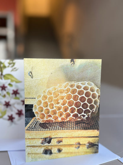 Giessow Pottery: Blank Cards