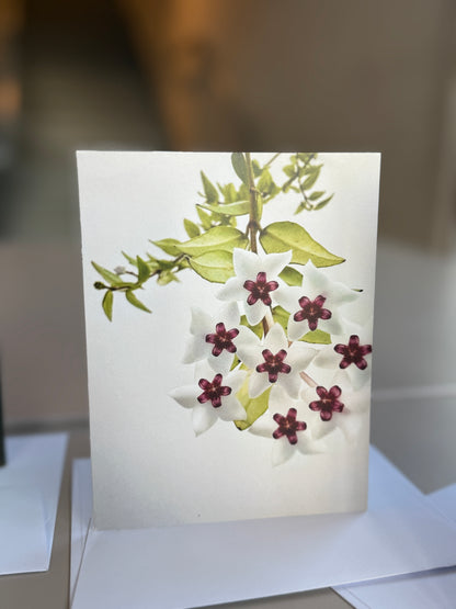 Giessow Pottery: Blank Cards