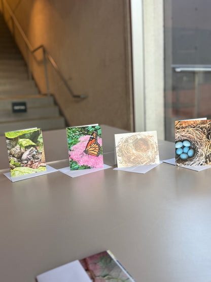 Giessow Pottery: Blank Cards