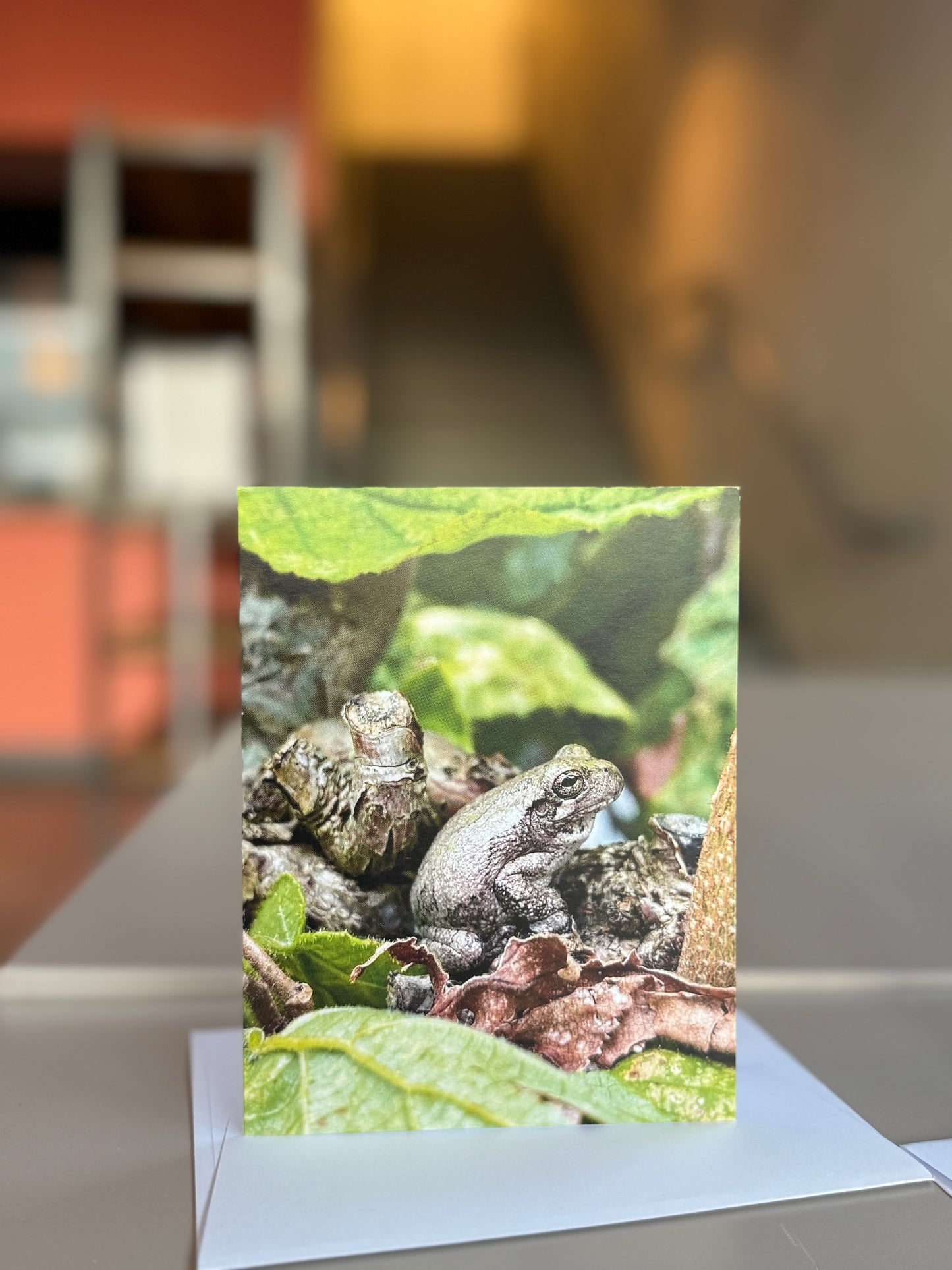 Giessow Pottery: Blank Cards