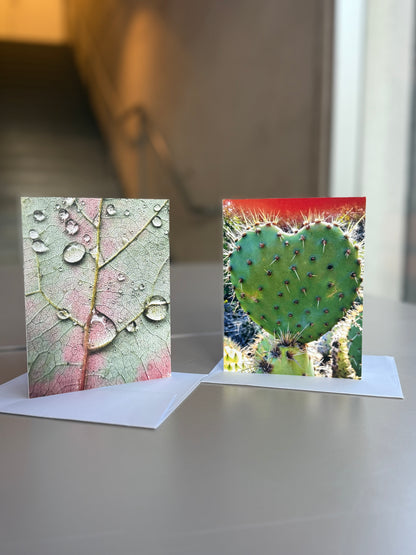 Giessow Pottery: Blank Cards