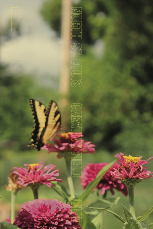 North St. Louis Creative Field Guide